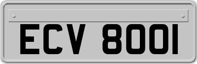 ECV8001
