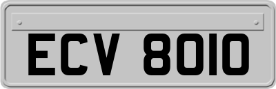 ECV8010