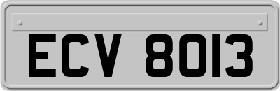 ECV8013