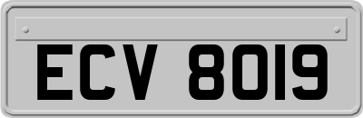 ECV8019
