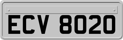 ECV8020