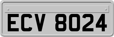 ECV8024