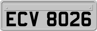 ECV8026