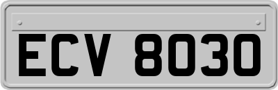 ECV8030