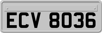 ECV8036