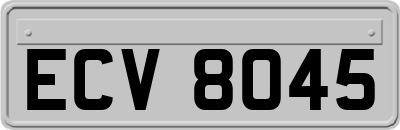 ECV8045