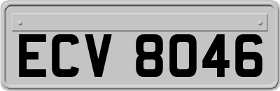 ECV8046