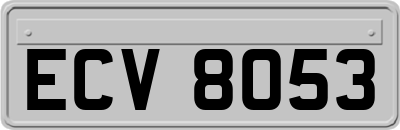 ECV8053