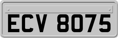 ECV8075