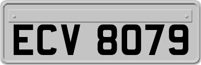 ECV8079