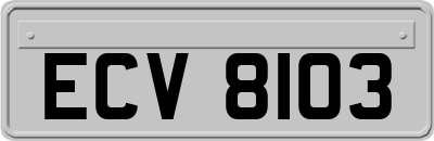 ECV8103