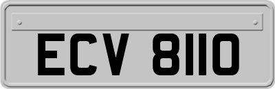 ECV8110