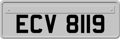 ECV8119