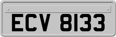 ECV8133