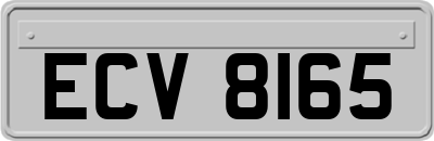 ECV8165