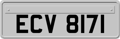 ECV8171