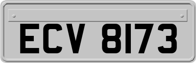 ECV8173