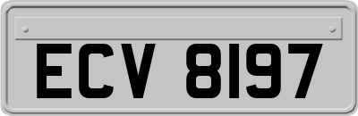 ECV8197