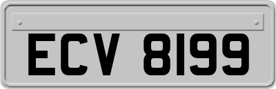 ECV8199
