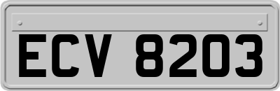ECV8203
