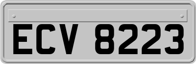 ECV8223