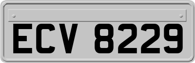 ECV8229