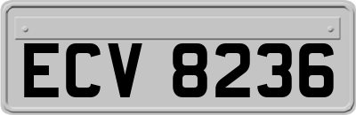 ECV8236