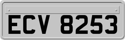 ECV8253