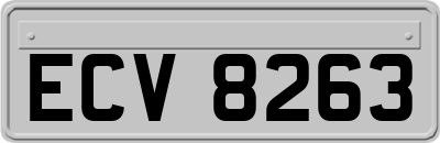 ECV8263