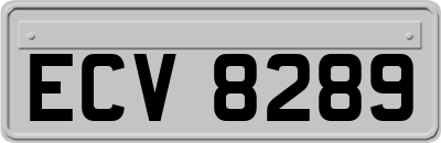 ECV8289
