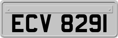 ECV8291