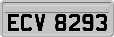 ECV8293