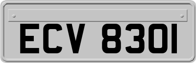 ECV8301