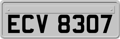 ECV8307