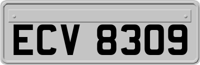 ECV8309