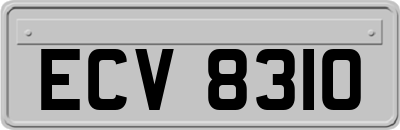 ECV8310