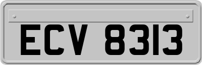ECV8313