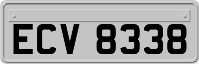 ECV8338