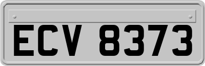 ECV8373