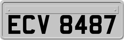 ECV8487