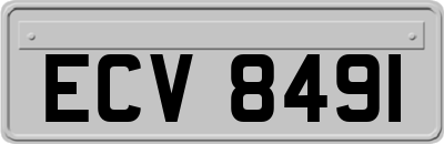 ECV8491