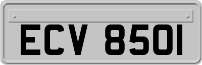 ECV8501