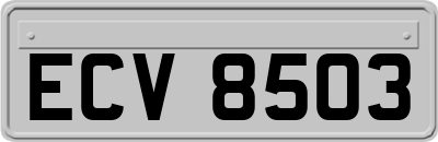 ECV8503