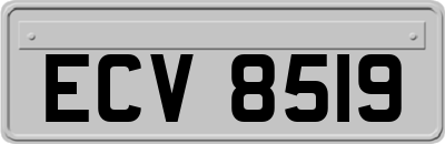 ECV8519