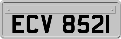 ECV8521
