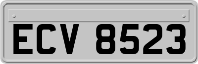 ECV8523