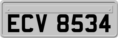 ECV8534