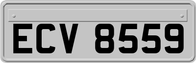 ECV8559