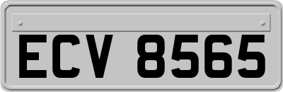 ECV8565
