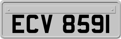 ECV8591